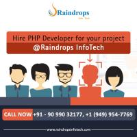 Raindrops InfoTech image 8